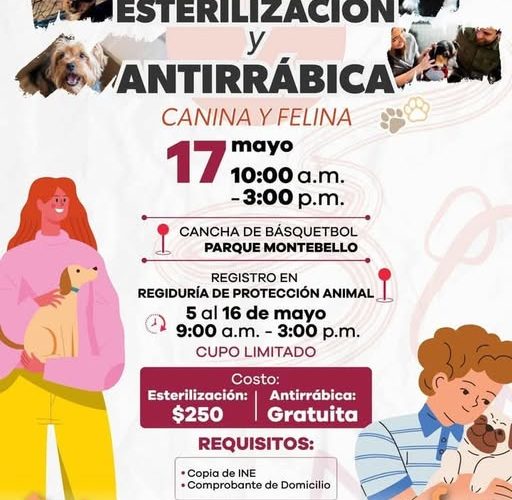 CAMPAÑA DE ESTERILIZACIÓN